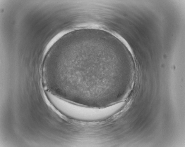 X0000087521389200705111955