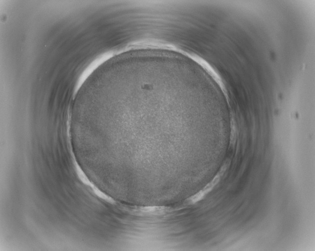 X0000087521390200705111955