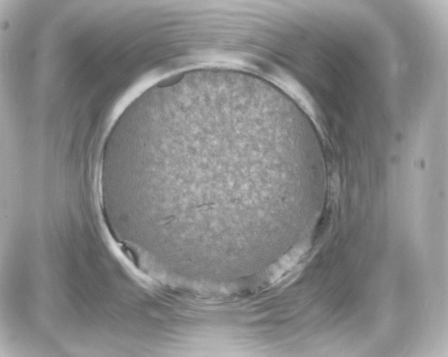 X0000087521391200705111955