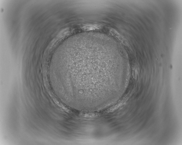 X0000087521393200705111954