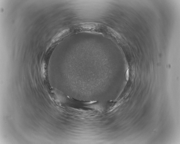 X0000087521394200705111954