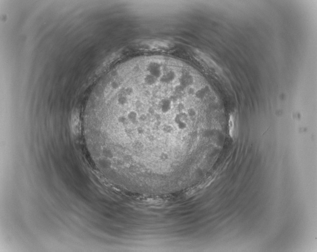 X0000087521395200705111954