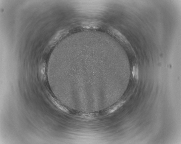 X0000087521396200705111954