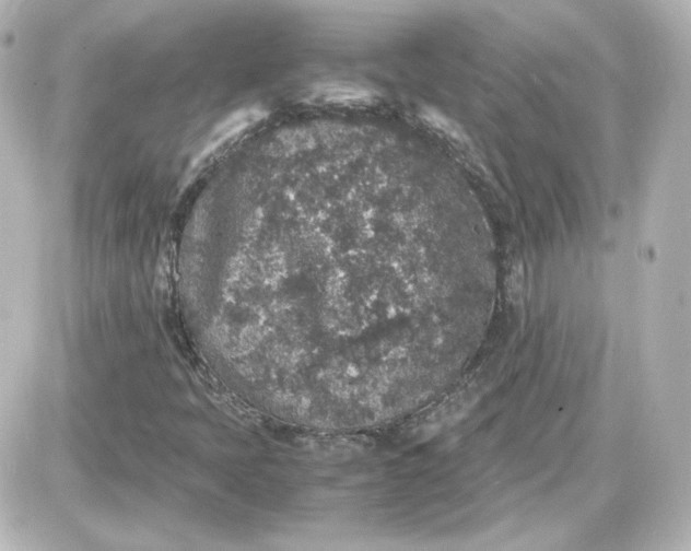 X0000087521397200705111954