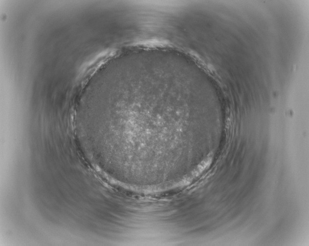 X0000087521398200705111954