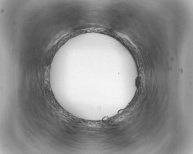 X0000087521399200705111954