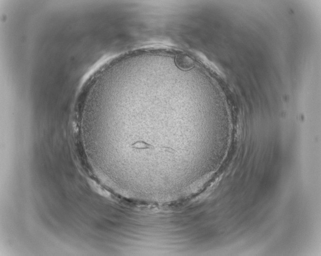 X0000087521400200705111954