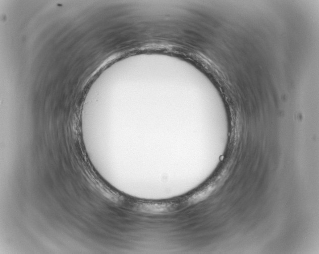 X0000087521401200705111955