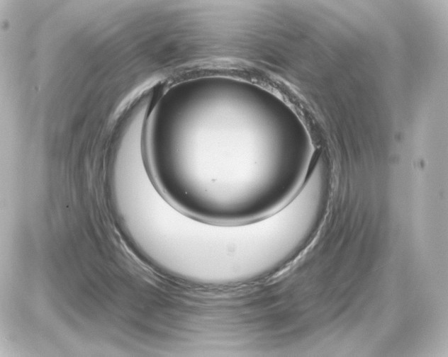 X0000087521402200705111955