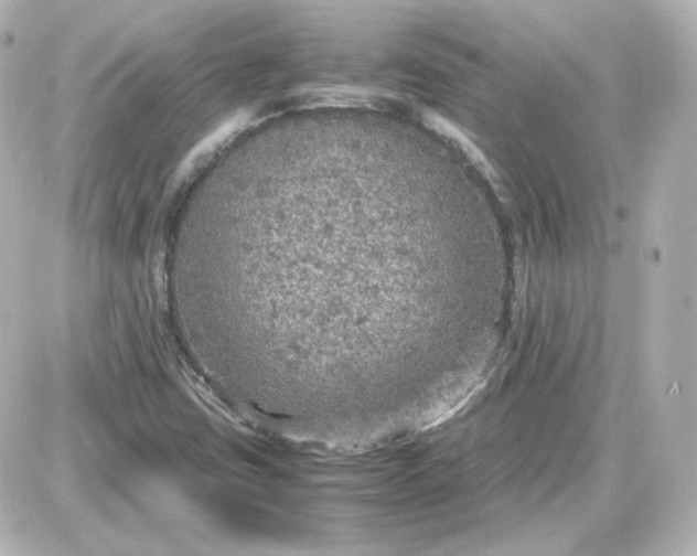 X0000087521403200705111955