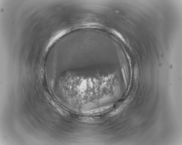 X0000087521405200705111955