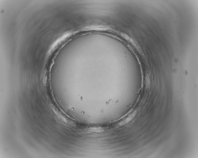 X0000087521406200705111955