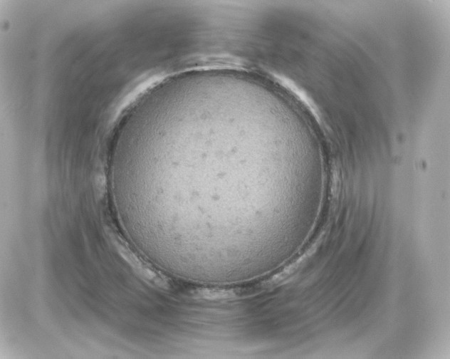 X0000087521407200705111955