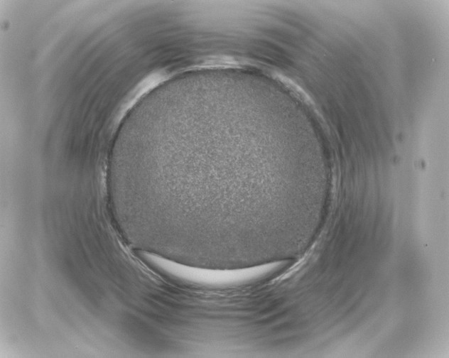 X0000087521409200705111955