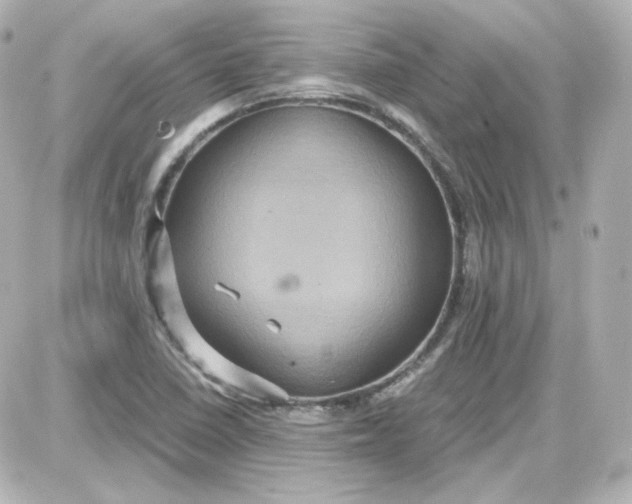 X0000087521410200705111955