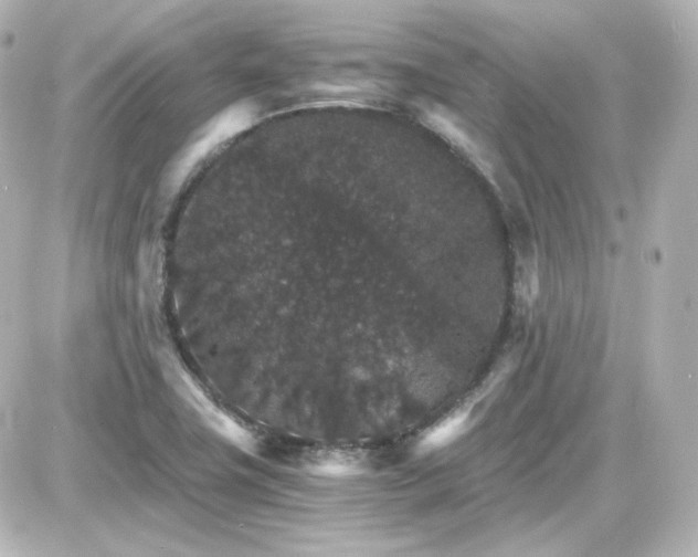 X0000087521411200705111955