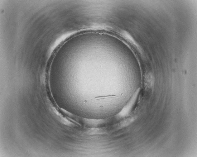 X0000087521412200705111955