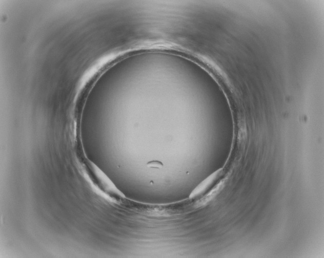 X0000087521414200705111955