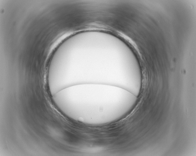 X0000087521415200705111955