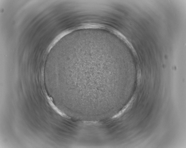 X0000087521417200705111955