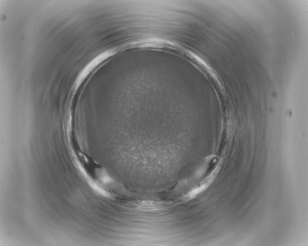 X0000087521418200705111955