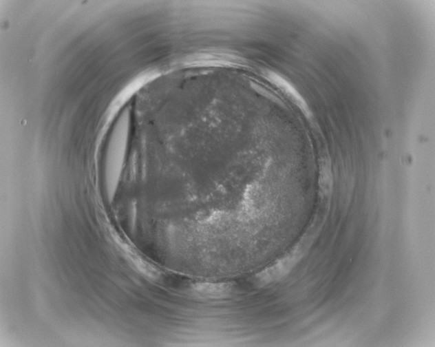 X0000087521419200705111955