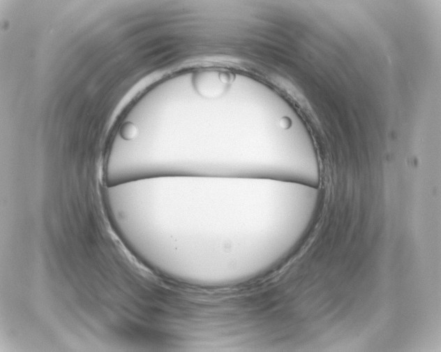 X0000087521420200705111955