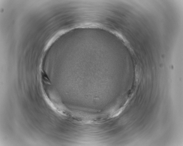 X0000087521422200705111955