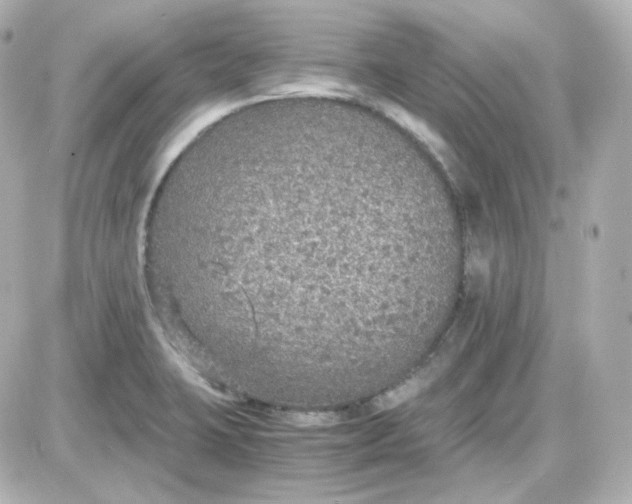 X0000087521423200705111955