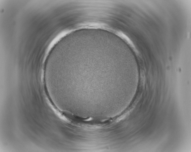 X0000087521424200705111955