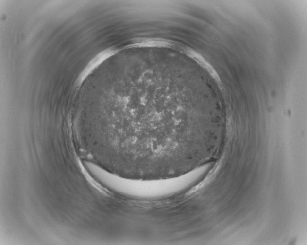 X0000087521425200705111955