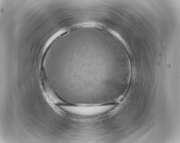 X0000087521426200705111955