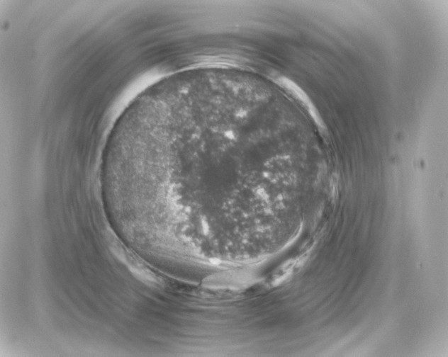 X0000087521427200705111955