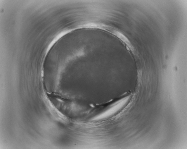 X0000087521428200705111955