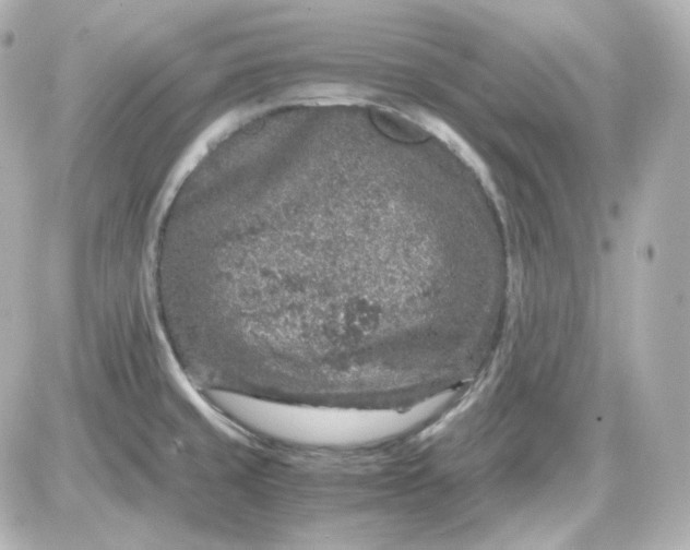 X0000087521429200705111955