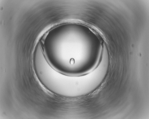 X0000087521430200705111955