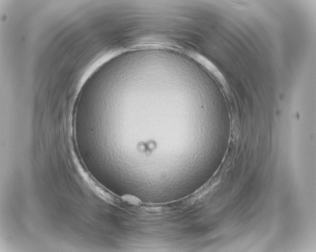 X0000087521431200705111955