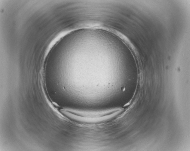 X0000087521432200705111955