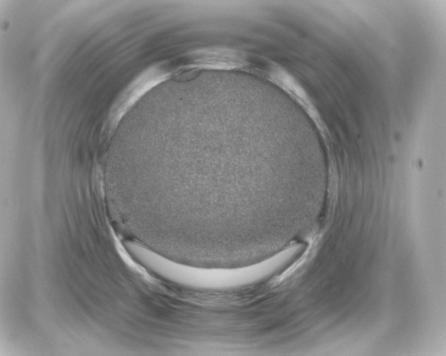 X0000087521433200705111955