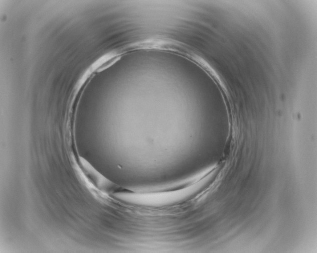 X0000087521434200705111955