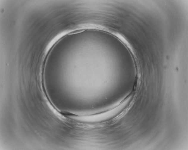 X0000087521438200705111955