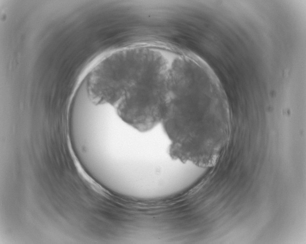 X0000087521439200705111955