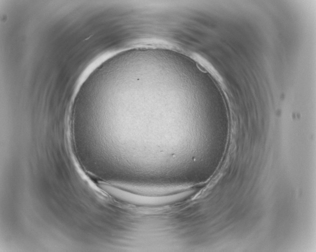 X0000087521440200705111955