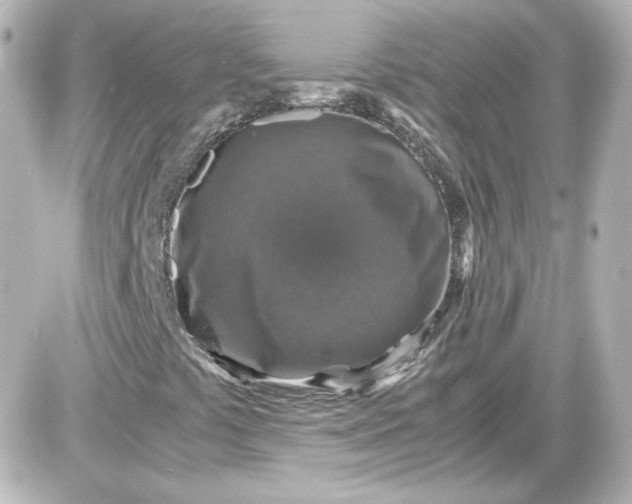 X0000087521441200705111954