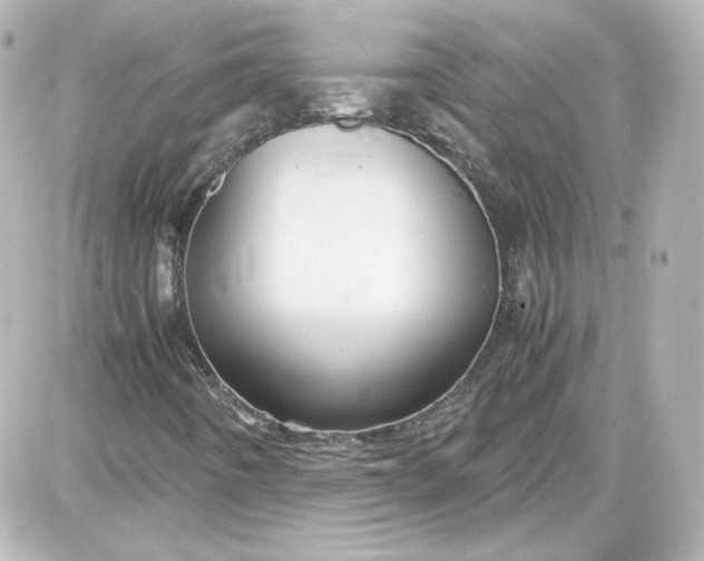 X0000087521442200705111954