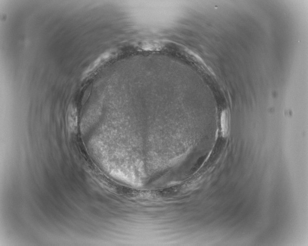 X0000087521443200705111954