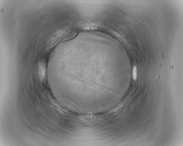 X0000087521444200705111954