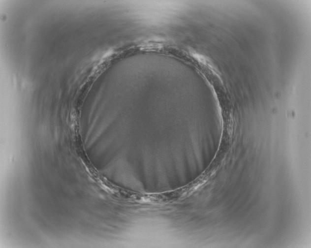 X0000087521445200705111954