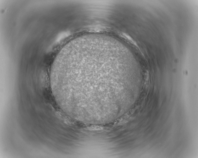 X0000087521446200705111954