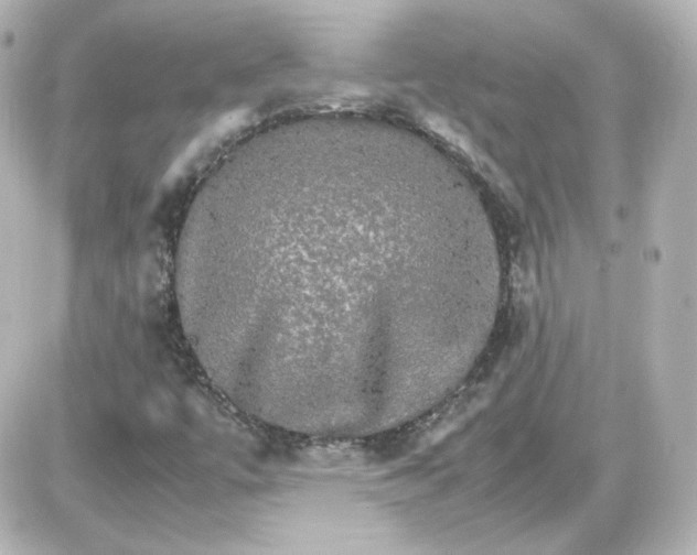 X0000087521447200705111954